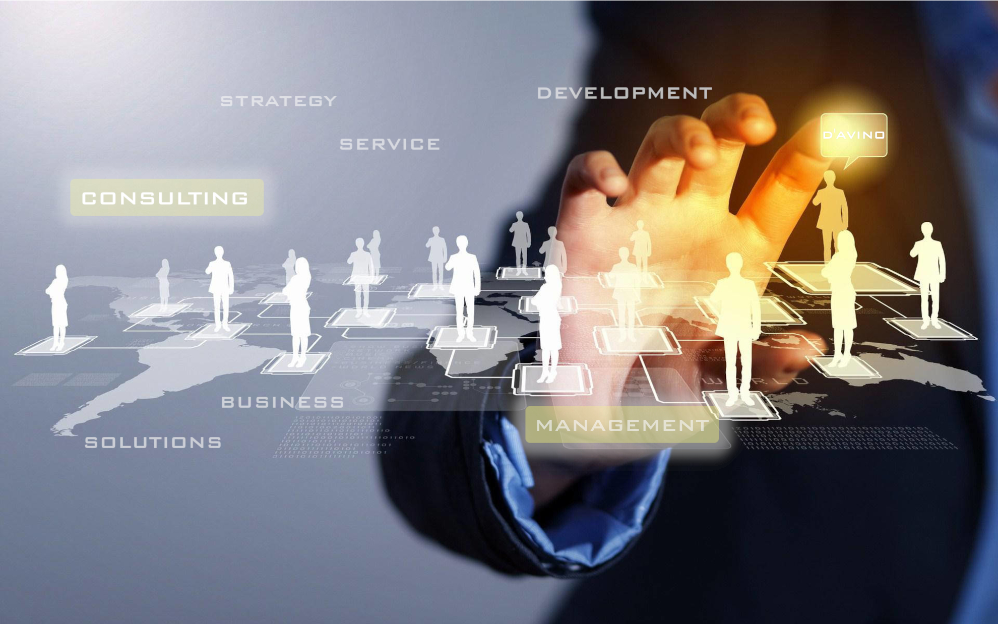 D'Avino Consulting