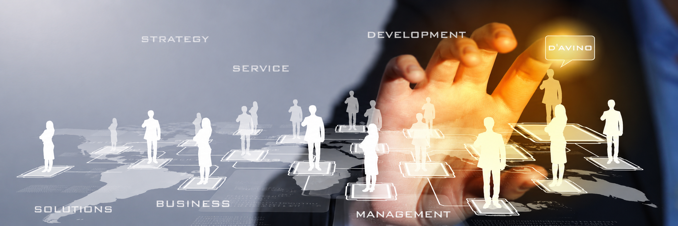 D'Avino Consulting
